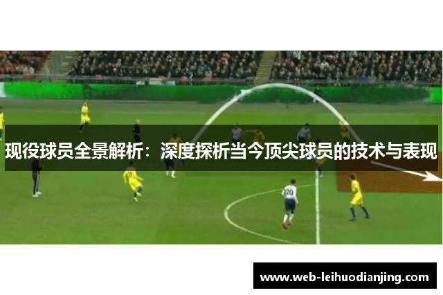 现役球员全景解析：深度探析当今顶尖球员的技术与表现